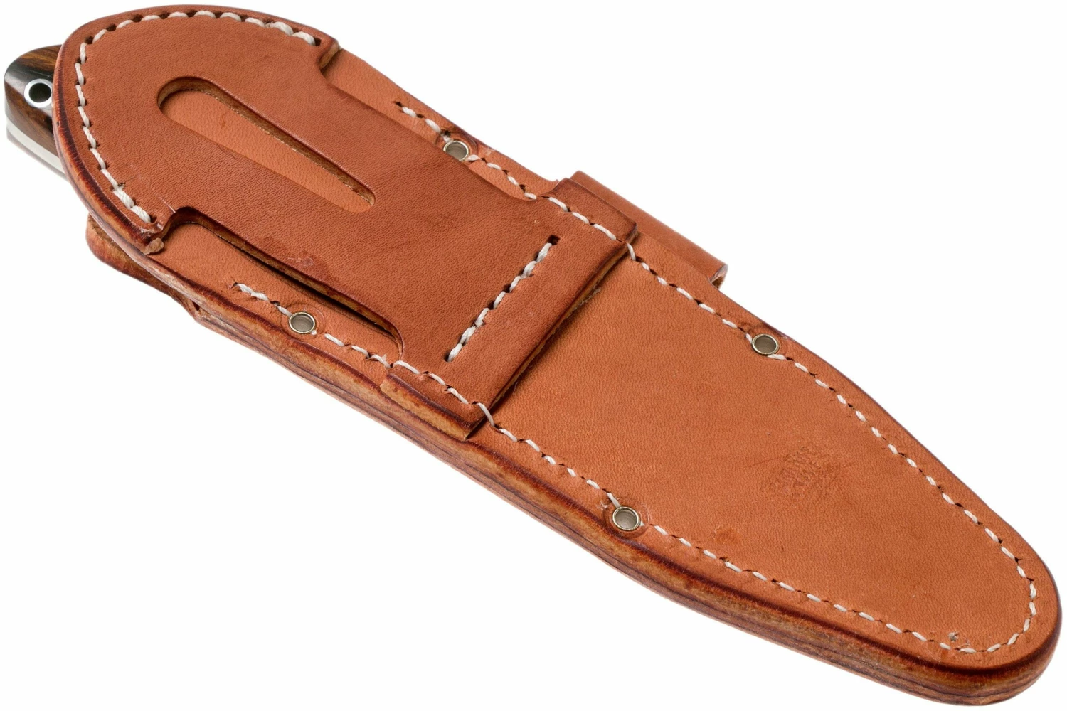 Bark River Aurora Hunter CPM 3V, Desert Ironwood, Funda Marrón 8 Bark River Aurora Hunter CPM 3V, Desert Ironwood, Funda Marrón - Imagen 8