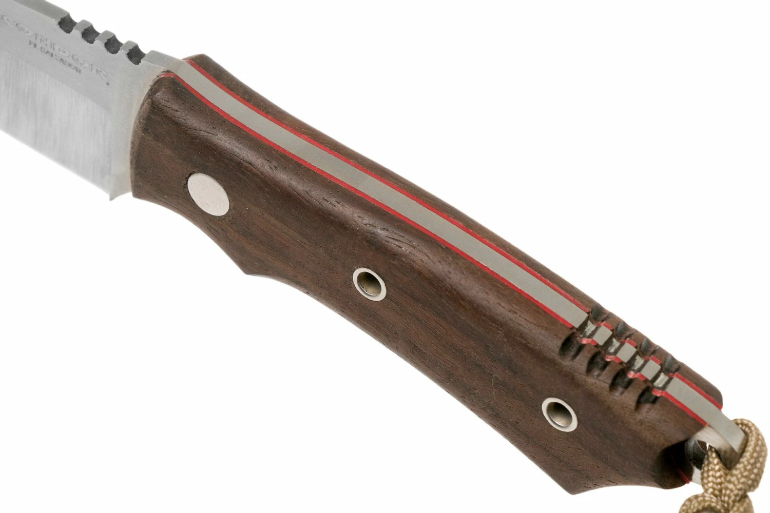 Condor Native Hunter Knife CTK116-4.25-4C Cuchillo De Caza 60050 5 Condor Native Hunter Knife CTK116-4.25-4C Cuchillo De Caza 60050 - Imagen 5