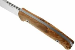 LionSteel M3-UL, Madera De Olivo 10 LionSteel M3-UL, Madera De Olivo -Messen Verkoop 2024 LI M3 UL 04 lionsteel li m3 ul d4