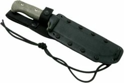 LionSteel M7 CVG Satin, Green Canvas Micarta Cuchillo Fijo, Molletta Design -Messen Verkoop 2024 LI M7 CVG 06 lionsteel