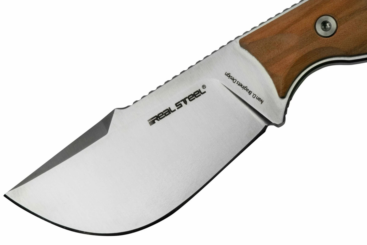 Real Steel Furrier Skinner Olive Wood 3611W Cuchillo Fijo, Diseño Ivan Braginets 3 Real Steel Furrier Skinner Olive Wood 3611W Cuchillo Fijo, Diseño Ivan Braginets - Imagen 3
