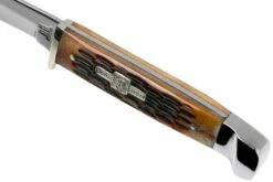 Rough Ryder Small Hunter Amber Bone RR1033 Cuchillo De Caza -Messen Verkoop 2024 RY1033 05 rough ryder